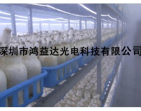供應工廠化杏鮑菇專用LED生長燈 杏鮑菇補光燈