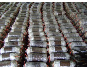 出售9605、4號、8號、10號菌種，量大從優(yōu)