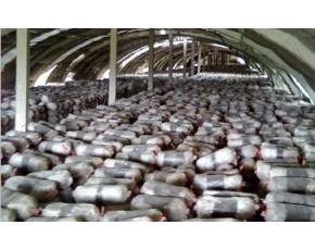 長期大量供應出菇菌棒