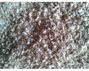 天津地區常年出售玉米芯及顆粒