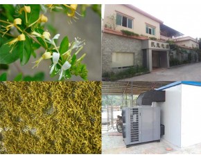 最先進的木耳、金銀花烘干機