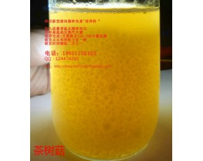 茶樹菇 液體菌種 發酵罐 培養基 營養料 培養料