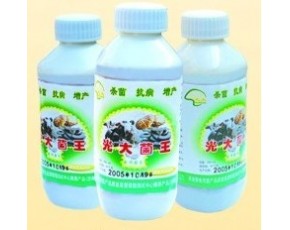 廠家直銷增產(chǎn)光大菌王-光大菌王價(jià)格行情