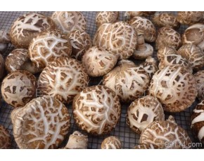 湖北隨州農家自產香菇、花菇大量現貨求買家