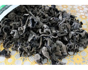 哪里批發黑木耳最便宜 東北黑木耳采珍園天然食品公司