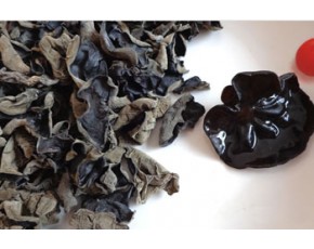 哪里批發黑木耳最便宜 東北黑木耳采珍園天然食品公司