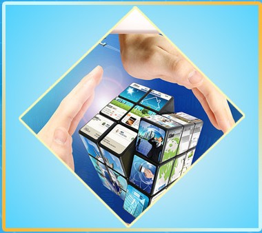 2014年食用菌生產與科技創新專題