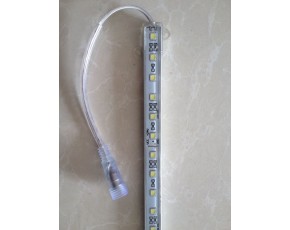 雙孢菇補(bǔ)光LED燈