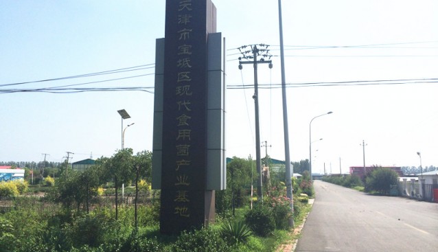 天津寶坻區現代食用菌產業基地