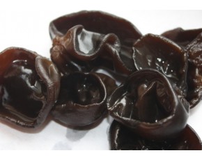 供應(yīng)黑木耳