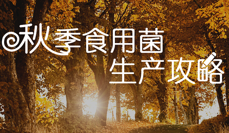 秋季食用菌生產攻略