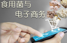 食用菌于電子商務