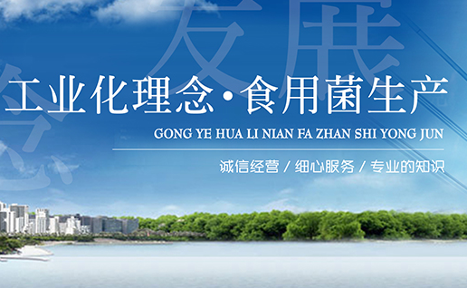 用工業化理念推動食用菌生產