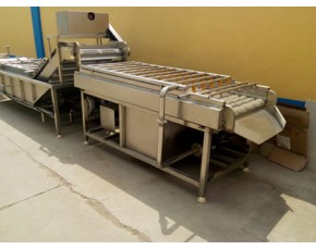 土豆清洗機，毛輥清洗機，胡蘿卜清洗機