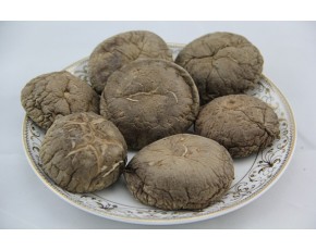 土特產盧氏干香菇食用菌批發