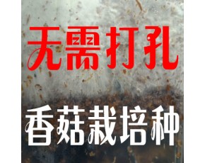 干貨土特產香菇菌種菌包栽培種接種釘三級種正品限時打折接種方便