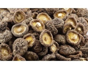 長期大量供應香菇鮮品/干貨