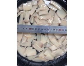 河北供應杏鮑菇切片