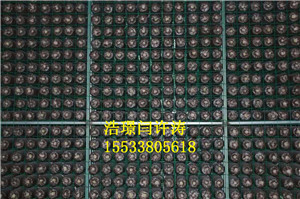 河北食用菌網格架