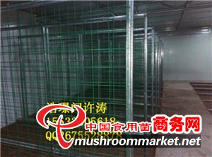 河北食用菌網格架