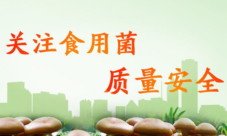 關注食用菌質量安全