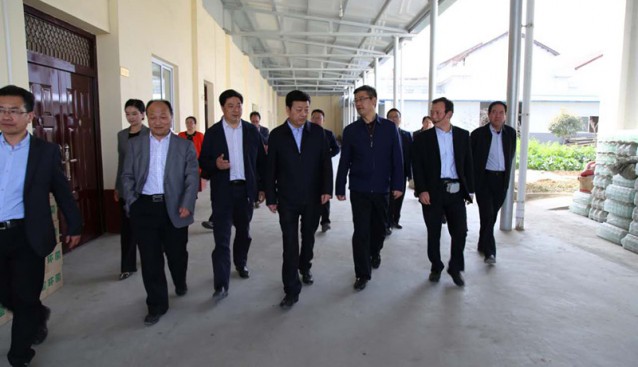 陜西：副省長馮新柱赴森盛菌業考察食用菌產業