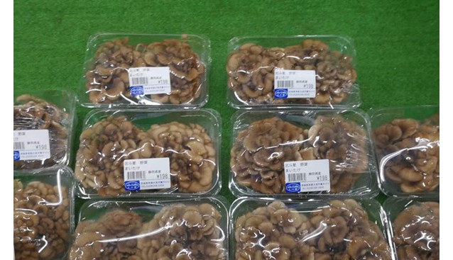 日本市場流通中的小包裝食用菌