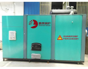 食用菌鍋爐廠環保節能鍋爐燃氣/燃油/生物質鍋爐