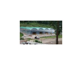 食用菌連體大棚