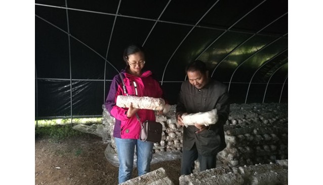 貴州省農(nóng)科院品資所在赫章縣開展食用菌種植等科技培訓(xùn)班