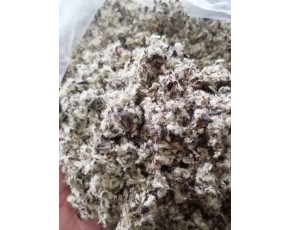 新疆南北疆油脂棉殼、棉籽
