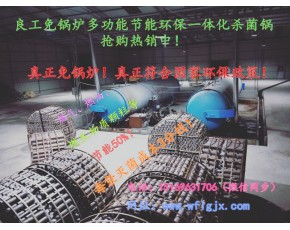 食用菌蘑菇香菇杏鮑菇木耳羊肚菌天麻專用環保滅菌鍋爐