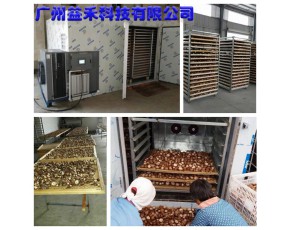 節能環保香菇烘干機廠家報價