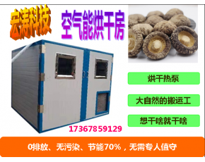 廠家直銷 竹蓀烘干機 竹參烘干房 食用菌烘干箱 節能干燥設備