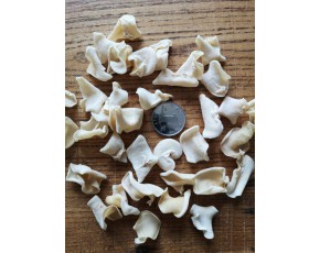 白玉木耳精品小片耳今年新貨干品批發(fā)零售