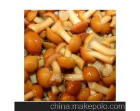 滑子菇量大！來(lái)收購(gòu)商