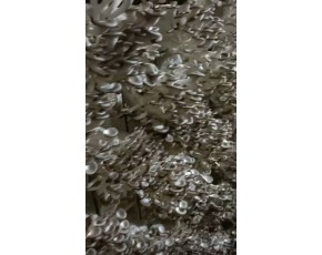 秀珍菇臺秀菌棒