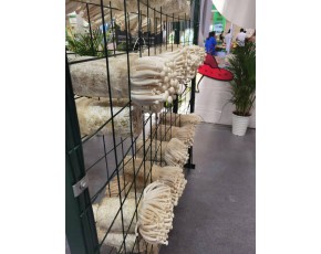 食用出菇架 蘑菇架 網格架 