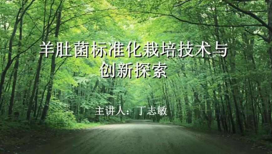 羊肚菌標準化生產加工技術創新及高產案例分享-丁志敏老師