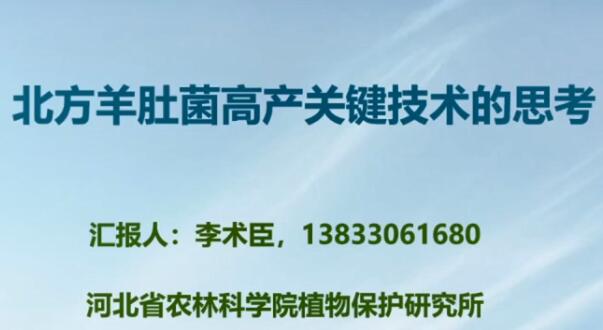 北方羊肚菌高產栽培技術-李術臣老師
