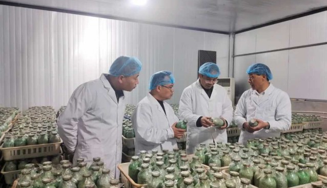 食用菌專家技術指導昊陽農業