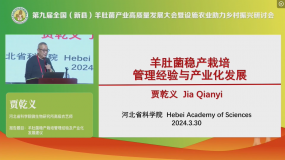 賈乾義：羊肚菌穩(wěn)產(chǎn)栽培管理經(jīng)驗(yàn)及產(chǎn)業(yè)化發(fā)展建議