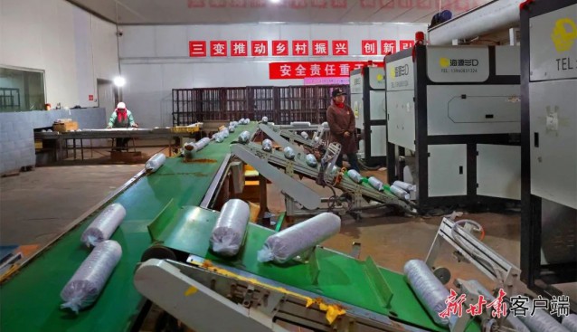 甘肅天?？h：開足馬力進行菌棒生產