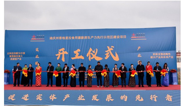 香格里拉食用菌新質生產力先行示范區建設項目開工
