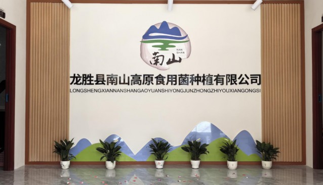 廣西龍勝縣南山高原食用菌公司建設100畝黑木耳示范基地