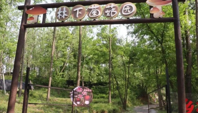 江蘇儀征劉集鎮依托菌菇產業，打造“產學研游”模式