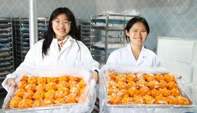 張家口首家金耳菌在萬全試種成功