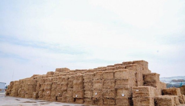 安陽眾興菌業(yè)變廢為寶