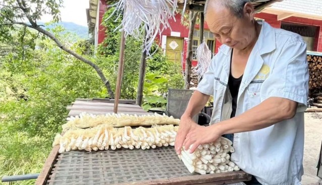 打通菌菇產(chǎn)銷通道，助農(nóng)增收
