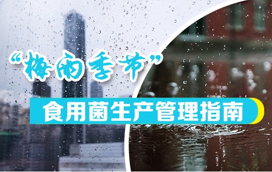 梅雨季節食用菌生產管理指南